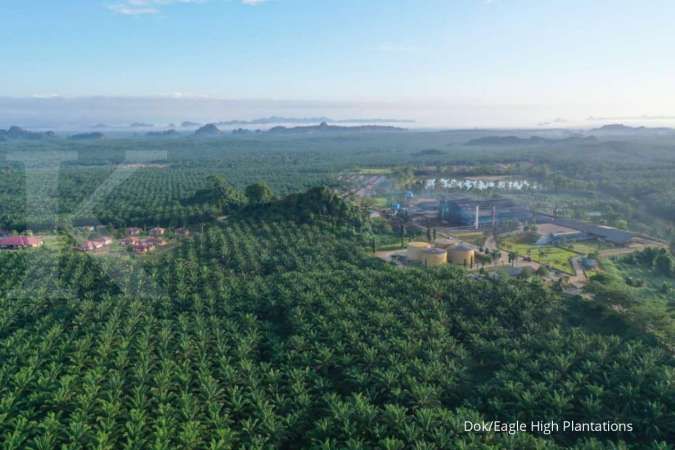 Alokasikan Rp 200 Miliar, Eagle High (BWPT) Ekspansi Pabrik Baru di Kalimantan Timur