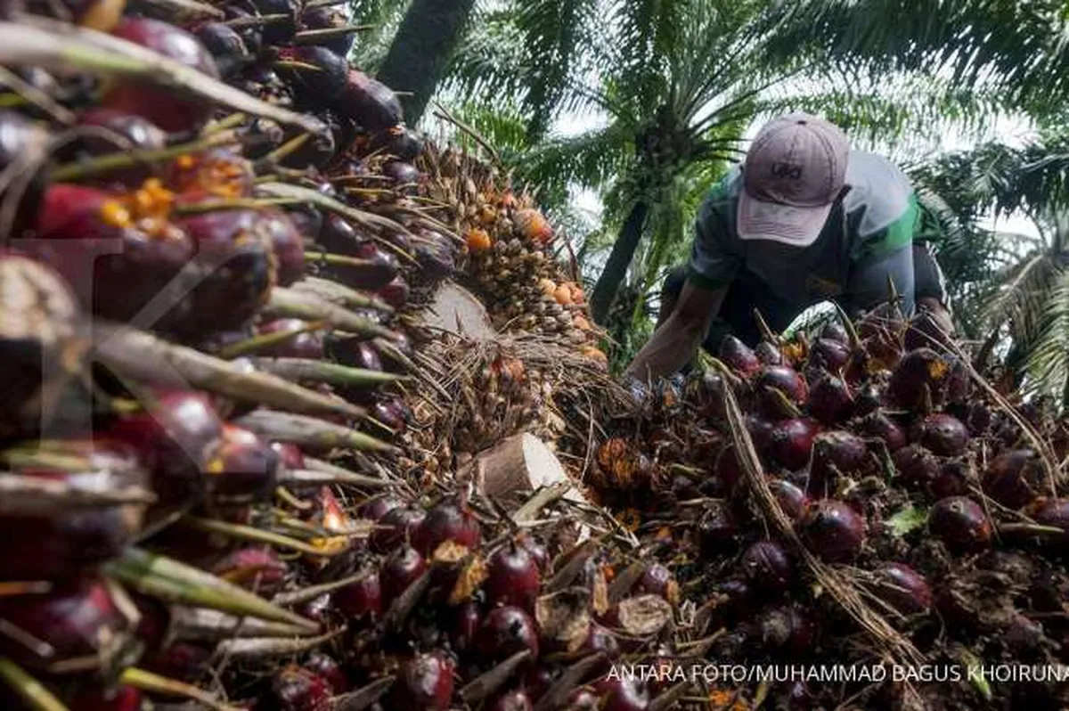 Pergerakan harga komoditas ini ikut memicu surplus neraca dagang di September
