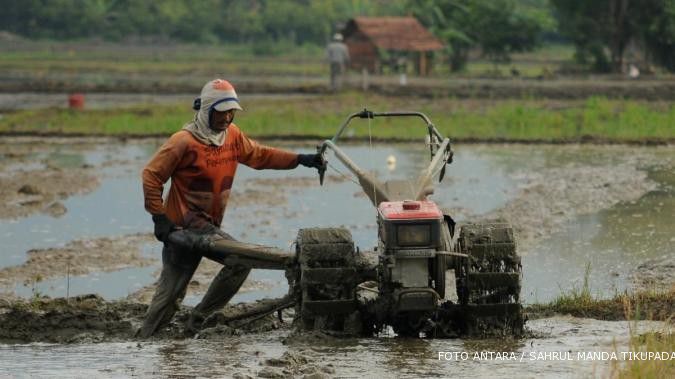 Pembukaan sawah baru tersendat