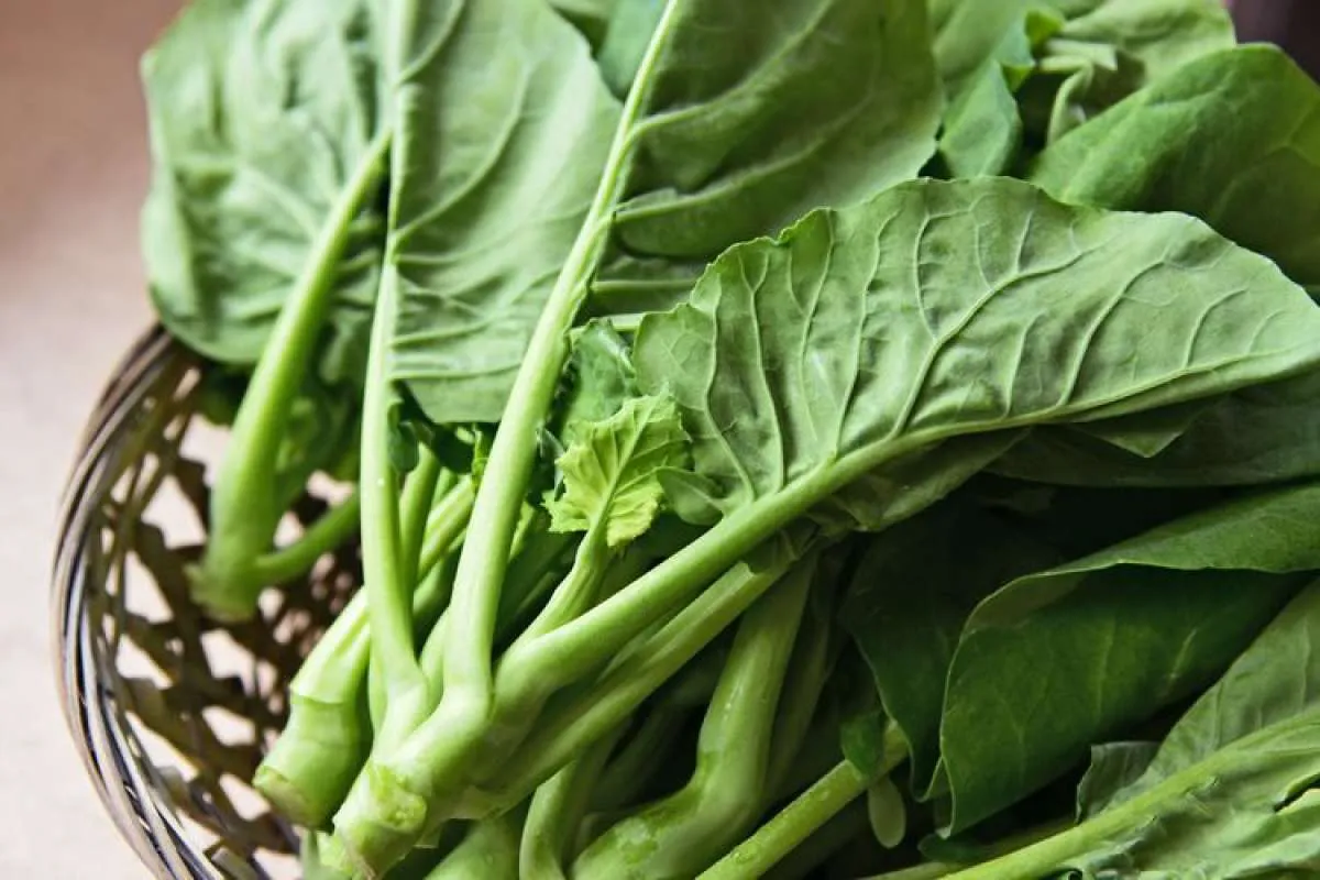 Kenali 6 Manfaat Kailan untuk Kesehatan Tubuh yang Menarik Diketahui