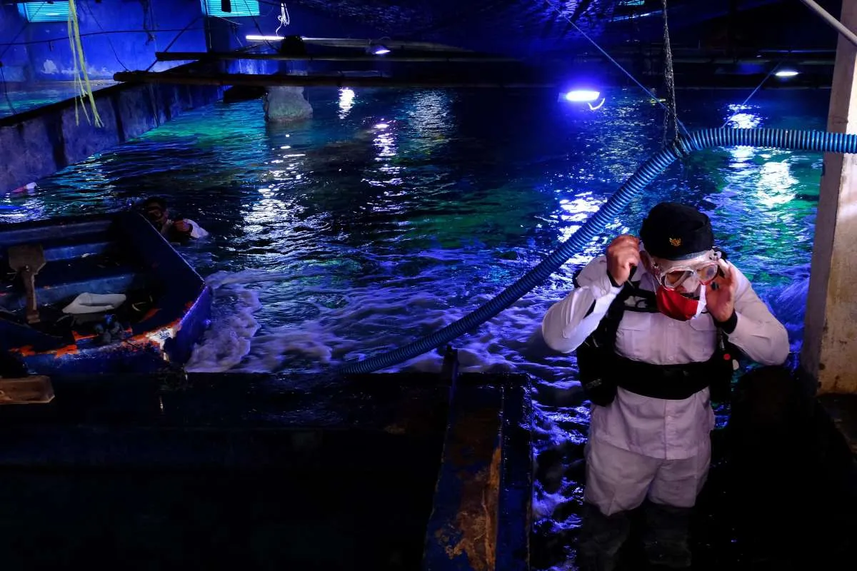 Harga tiket masuk Sea World Ancol periode 1-30 September 2020, cocok untuk liburan