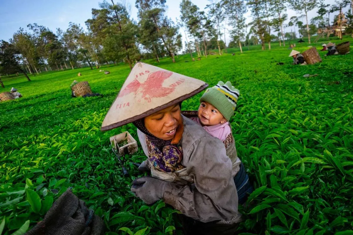 Berikan Literasi Gizi Terhadap 15.000 Ibu Nasabah PNM di Seluruh Indonesia