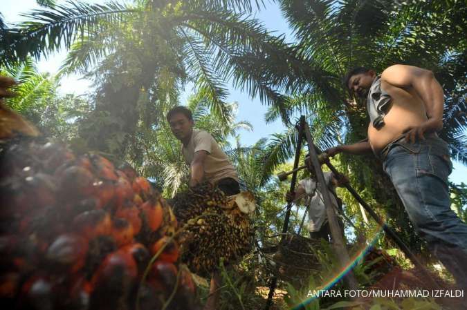 Indonesia Sets Up Task Force to Improve Governance in its Palm Oil Sector