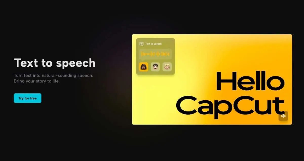 Cara Daftar CapCut Creator bagi Pengguna TikTok, Bisa Dapat Komisi