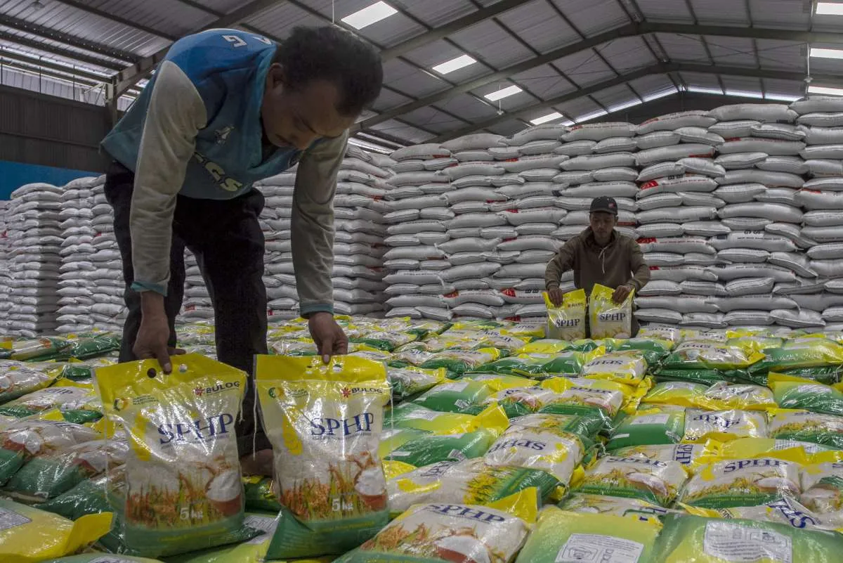 Harga Cabai dan Beras Turun di Kalimantan Timur Hari Ini (14/11)