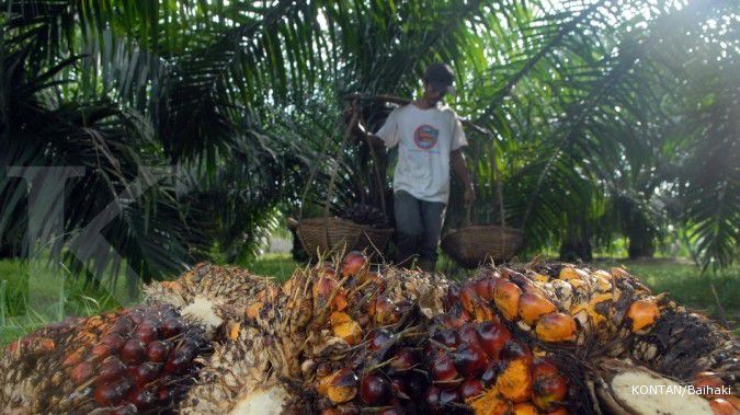 KUR diusulkan untuk replanting kelapa sawit