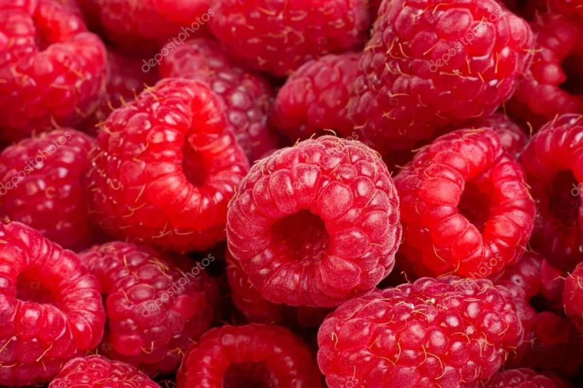  6 Manfaat Kesehatan Konsumsi Buah Raspberry untuk Tubuh yang Jarang Diketahui
