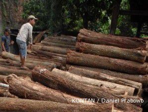 Lelang online kayu jati asal Jabar sepi peminat