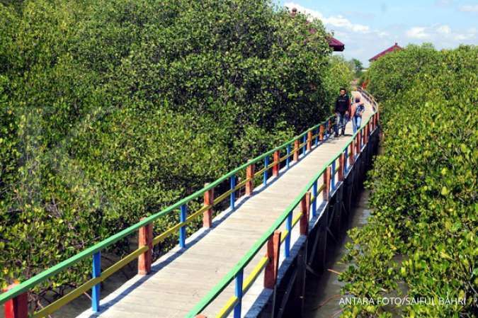 Jawa Timur Kuasai Hampir 50% Mangrove di Pulau Jawa