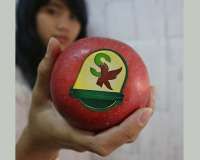 Segar Kumala Indonesia (BUAH) Menggaet Restu Stock Split