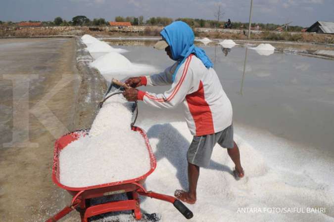 Harga garam petani anjlok Rp 150 per kg, pemerintah diminta perketat impor
