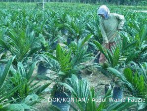 Fokus kembangkan usaha, JAWA tak bagi dividen tahun ini 