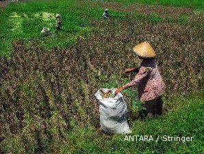 Atasi cuaca ekstrem Presiden terbitkan Inpres No 5 tahun 2011