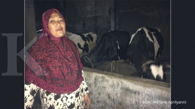 Bertandang ke sentra sapi perah di Malang (1)