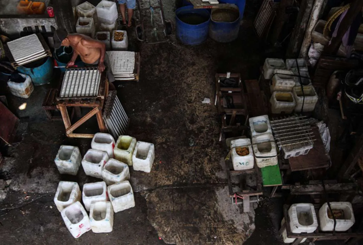 Kementan akan kerek produksi kedelai nasional di 2021