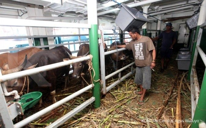 Dukung swasembada daging, Kemhub resmikan kapal ternak KM Camara Nusantara 2