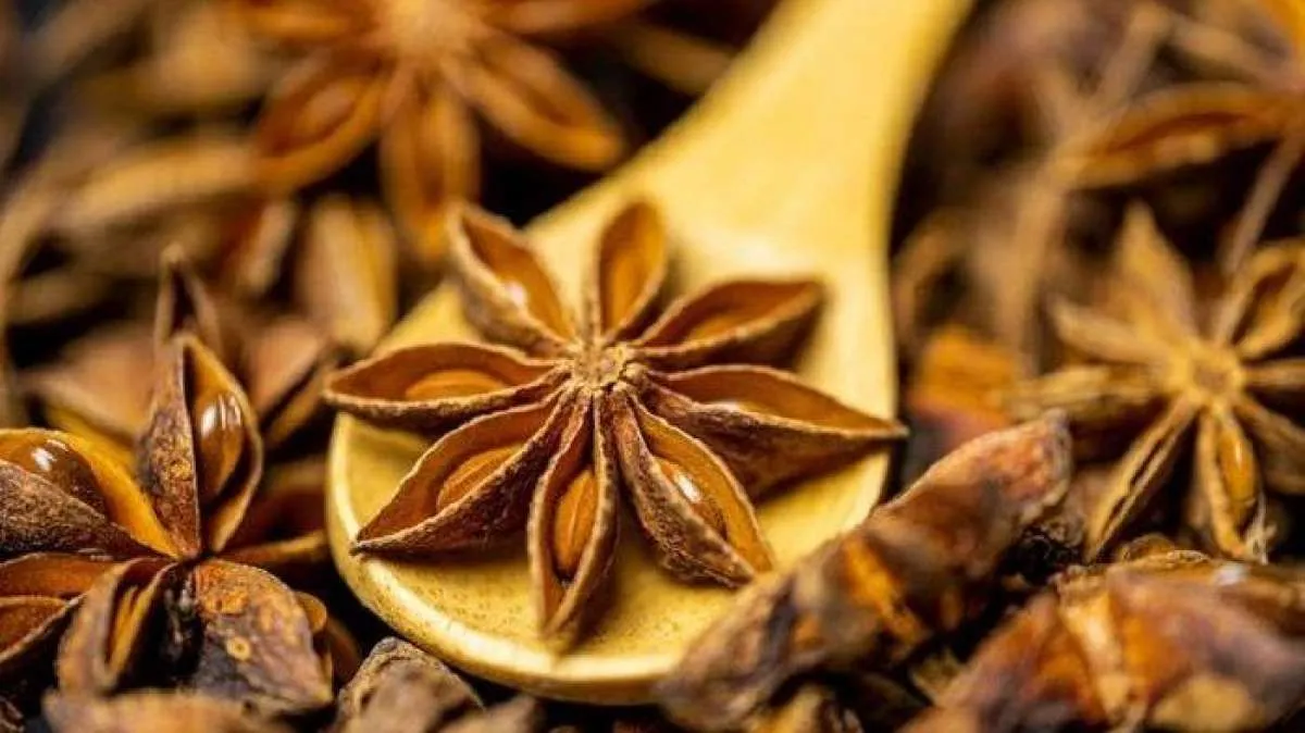 5 Manfaat Bunga Lawang Untuk Kesehatan Tubuh yang Jarang Diketahui Banyak Orang