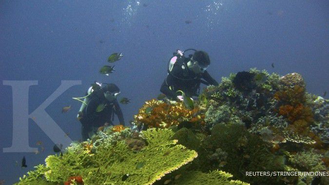 TNI bantu cari 4 penyelam WNA yang hilang
