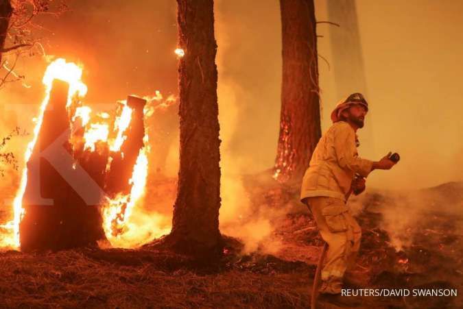 Elon Musk Turun Tangan Bantu Atasi Dampak Kebakaran Hutan di Los Angeles