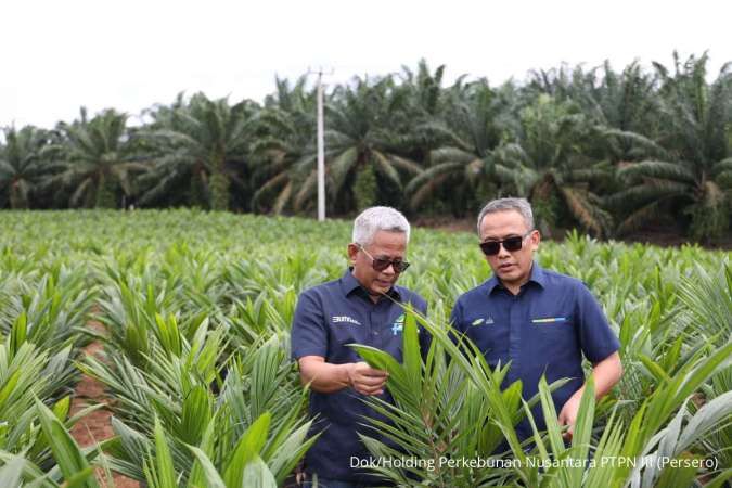 PTPN Inisiasi Program PSR Intercropping Padi Dukung Swasembada Pangan Nasional