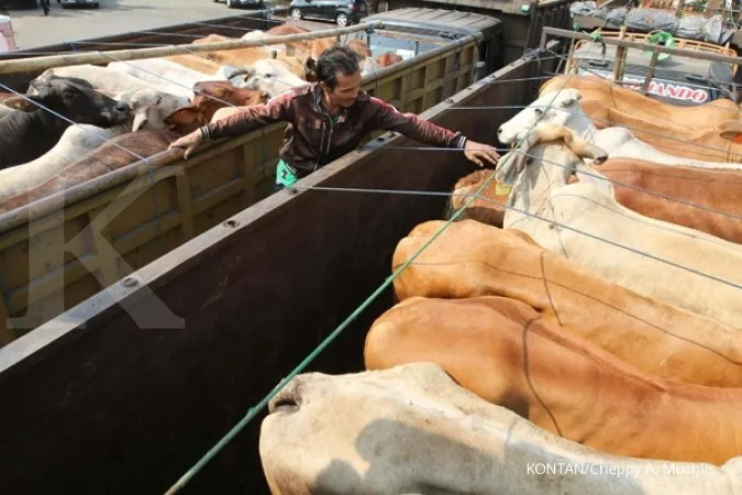 RI, Australia cooperate in cattle industries