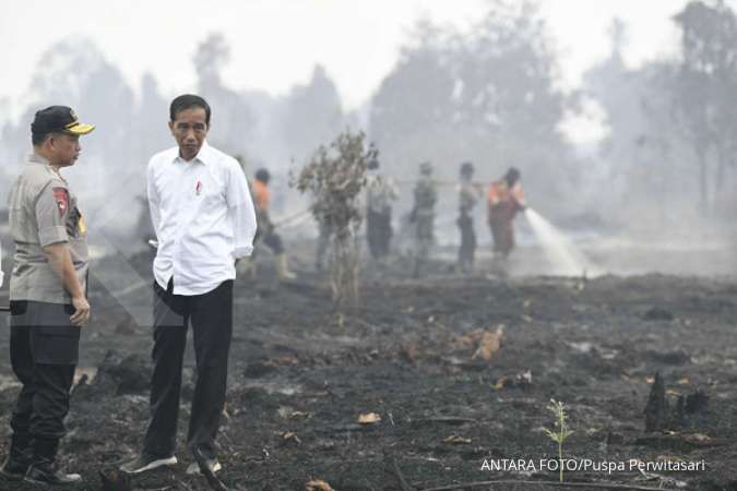 Jokowi janjikan upaya penegakan hukum bagi pembakar hutan