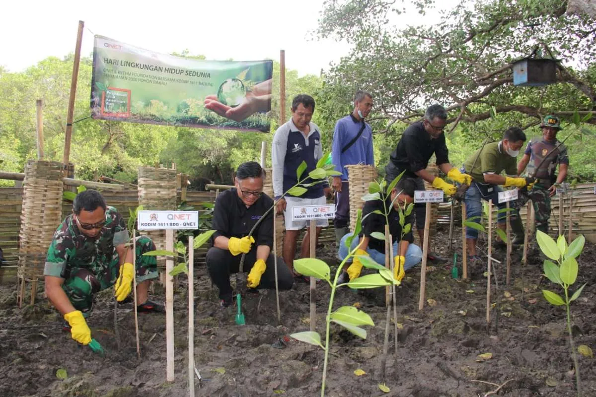 Tanam 2.000 Bibit Mangrove untuk Jaga Kelestarian Daerah Pesisir 
