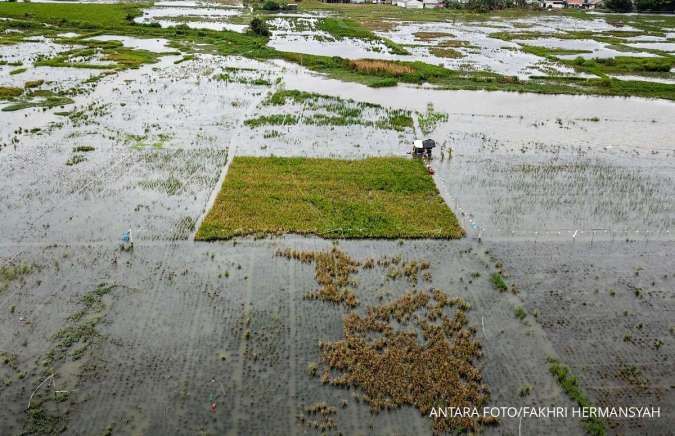 Izin Alih Fungsi Sawah Ditarik Pusat