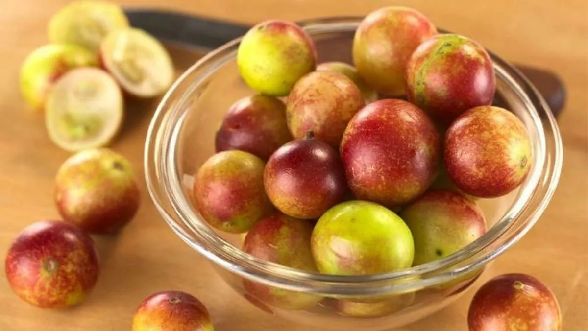 Ketahui 3 Manfaat Kandungan Camu-Camu untuk Mengatasi Masalah Kulit