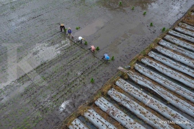 Dana Desa dan Poros Ekonomi Nasional