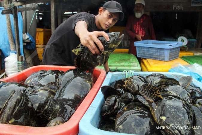 Produk perikanan Indonesia dilarang masuk China, KKP angkat bicara 