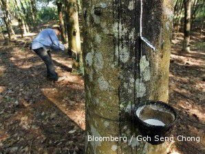 Harga karet reli, saham LSIP dan UNSP pun melejit