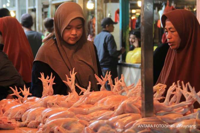 Harga Ayam Ras dan Minyak Goreng Kemasan Naik di Gorontalo, Senin (6/1)