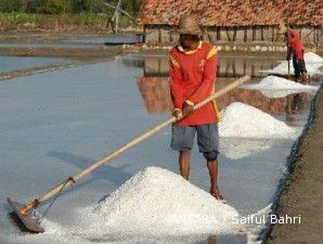 2010, produksi garam Madura terburuk dalam 30 tahun
