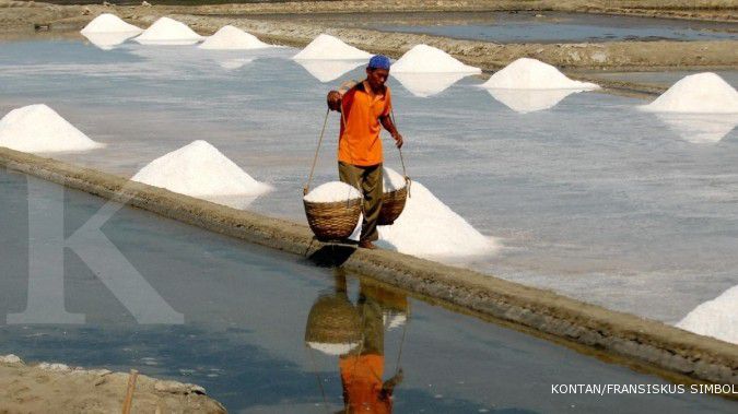 Menteri Susi akan membuat Satgas untuk impor garam