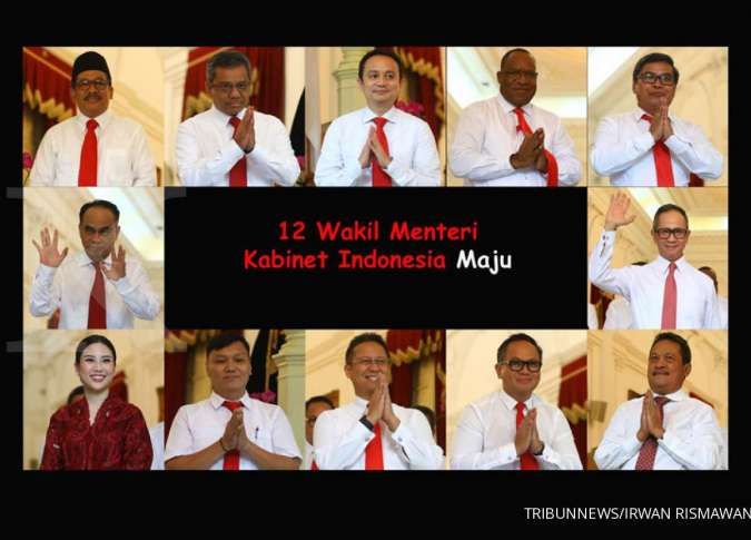 Jokowi lantik 12 wamen, ini tanggap Kadin