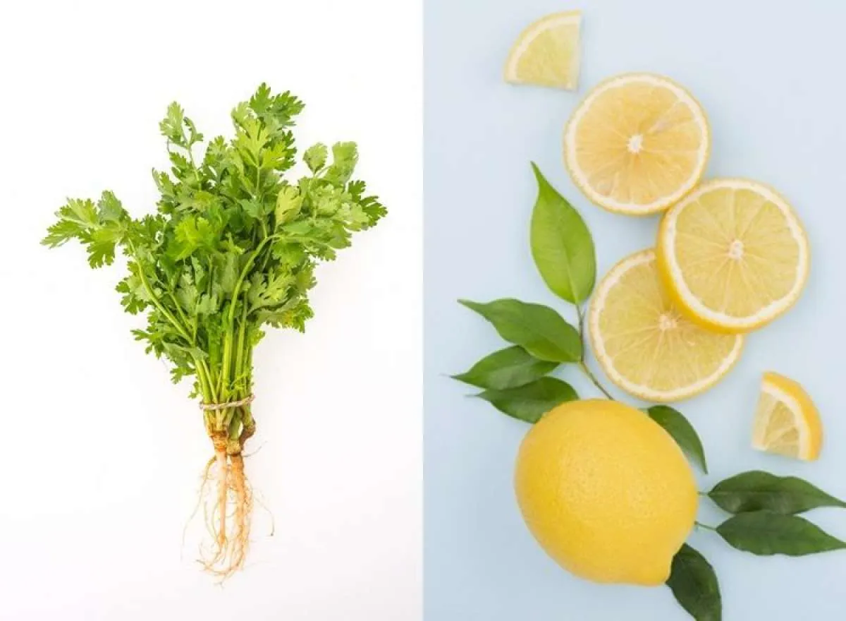 Infused water Ini Bermanfaat Mendetoksifikasi Tubuh dan Menurunkan Berat Badan