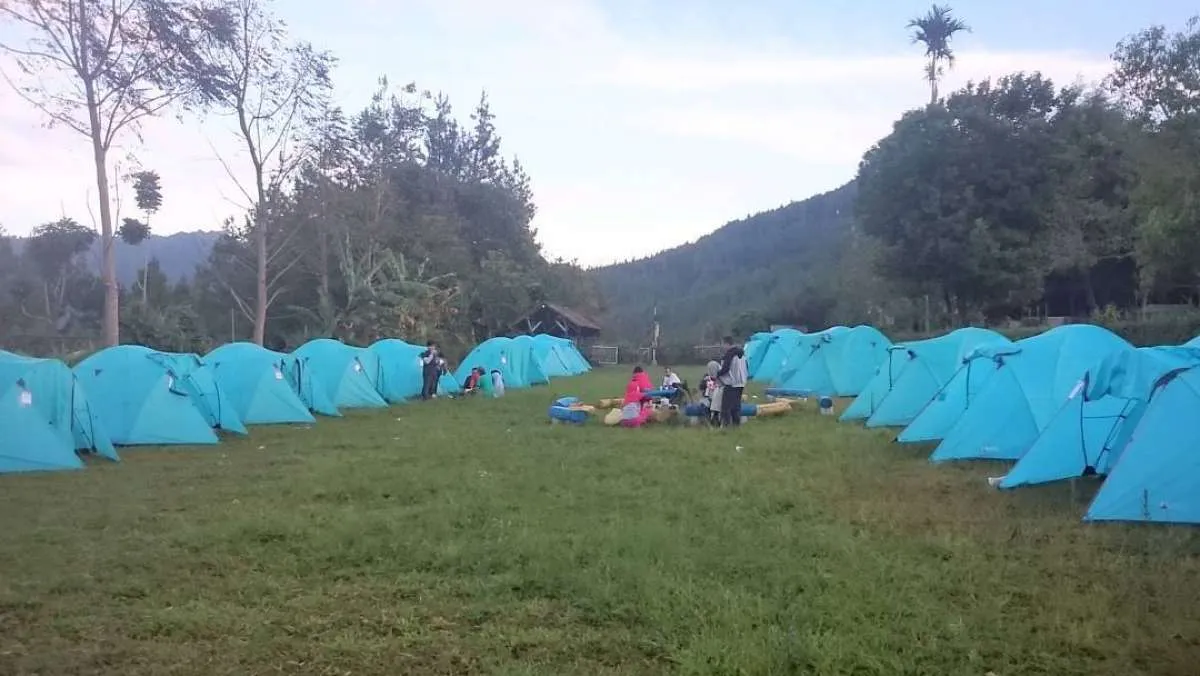 Pine Forest Camp, rekomendasi tempat berkemah di Lembang 