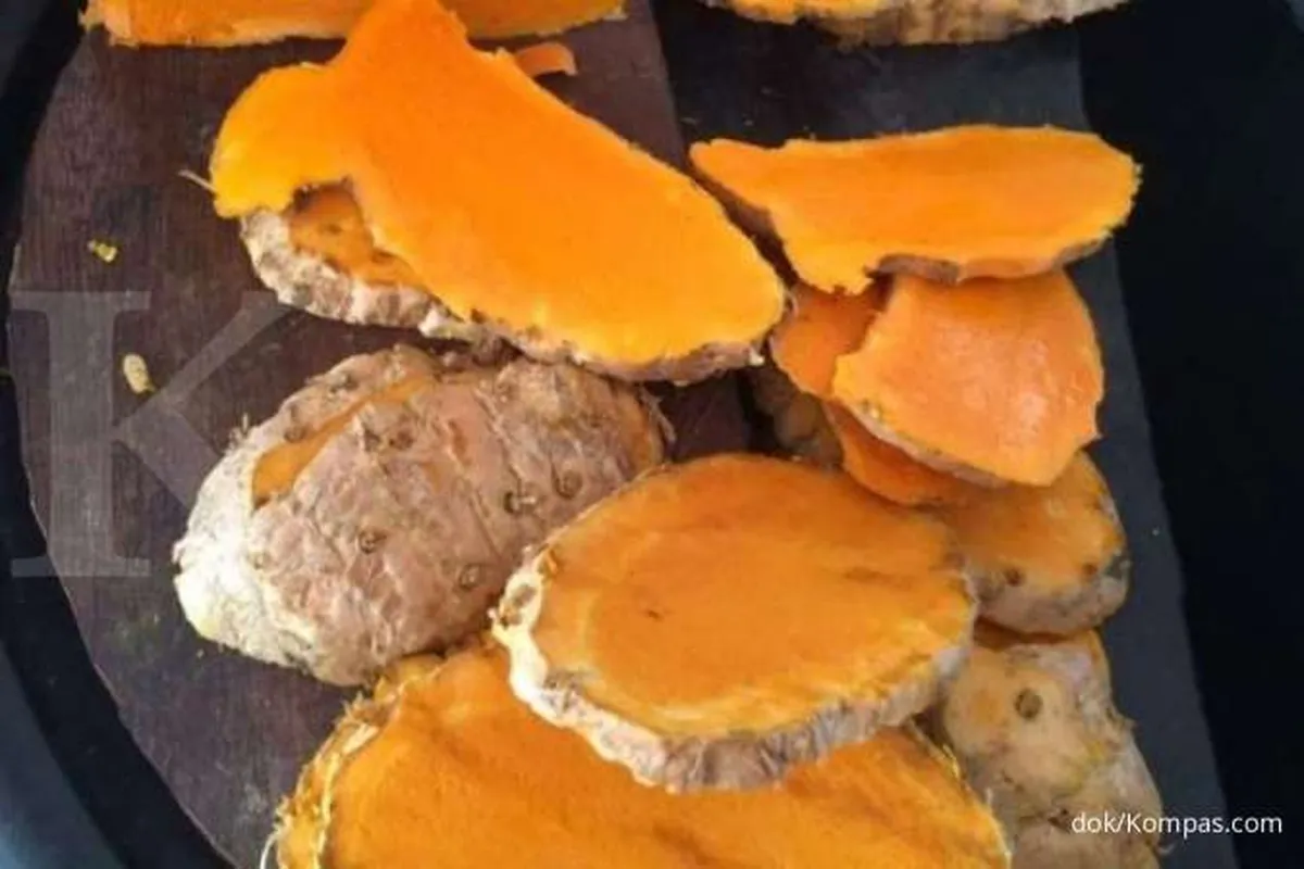 Menurunkan Asam Urat Tinggi, Ini Manfaat Temulawak untuk Kesehatan