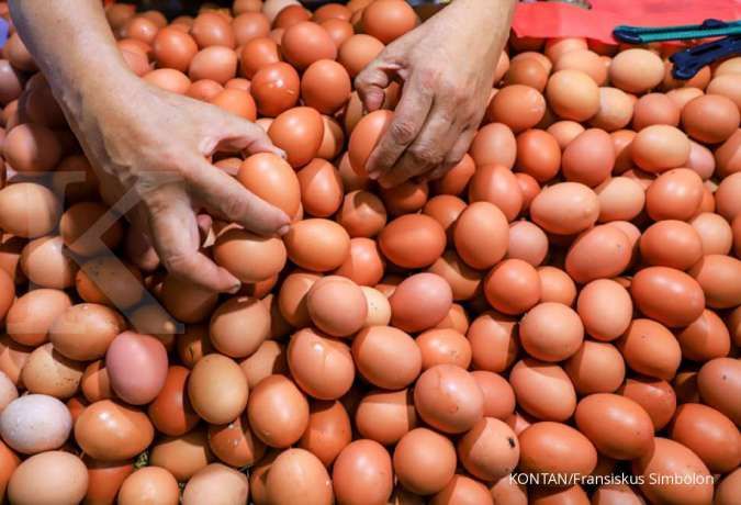 Harga telur ayam paling murah Rp 17.800 per kg, menimpa 3 daerah ini