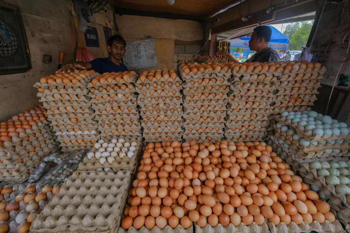 Cabai Rawit Hingga Telur Ayam Ras Jadi Penyumbang Deflasi Januari 2026