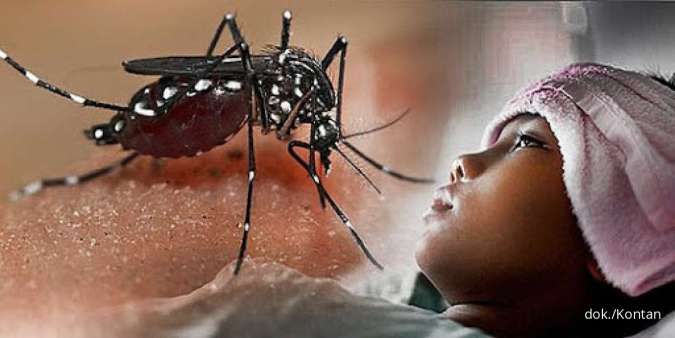 Wajib Tahu! Ternyata Ini 9 Gejala Demam Berdarah Dengue (DBD) pada Anak