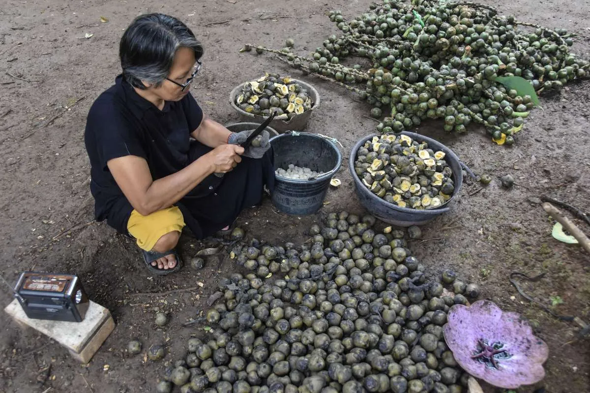 adwal Buka Puasa Ciamis Kamis (19/3): Mudik Lancar, Puasa Berkah!