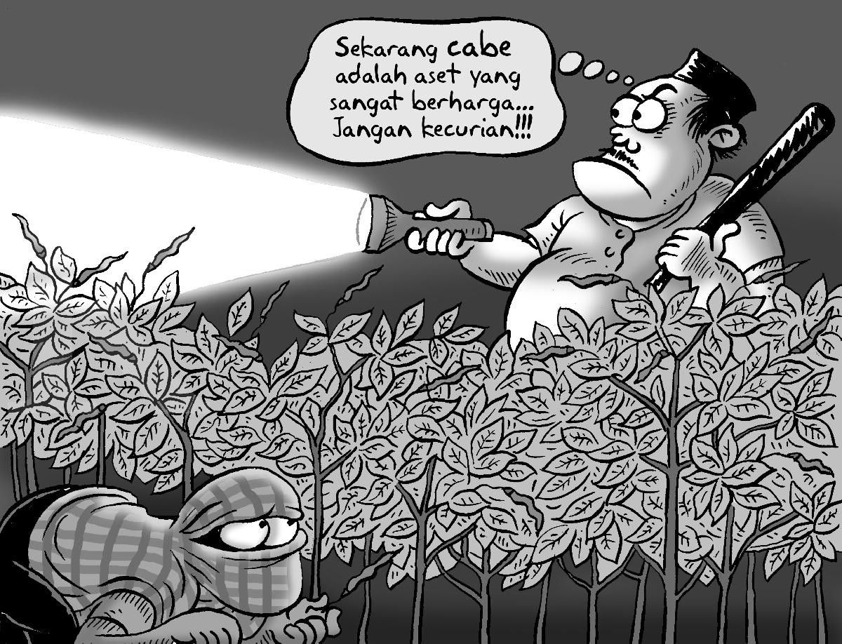 Ketika Cabai Jadi Barang Berharga