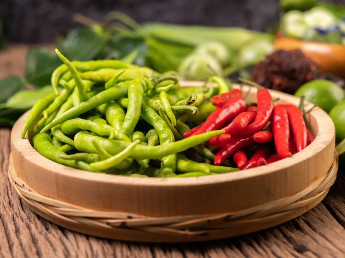 Cara Menggunakan Cabai untuk Meredakan Nyeri dan Bengkak Akibat Asam Urat Tinggi