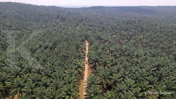 Pendirian Palm Co Diharapkan Menjaga Pasokan Minyak Goreng Dalam Negeri