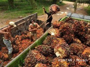 Inggris setuju Indonesia pakai ISPO untuk ekspor sawit