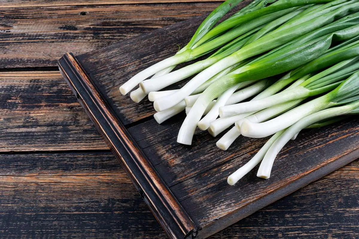 5 Manfaat Daun Bawang Untuk Kesehatan Tubuh, Catat Ya!