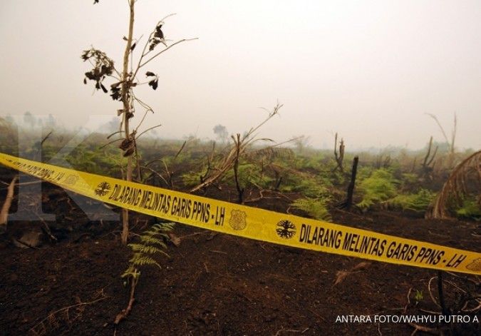 Polri tetapkan 140 tersangka pembakar hutan