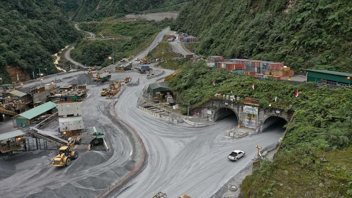 Pengamat: MIND ID Sulit Akuisisi Vale Indonesia dan Freeport Berbarengan